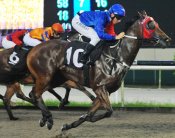 Peaceful Warrior and Danny Beasley on their way to victory in March.<br>Photo by Singapore Turf Club